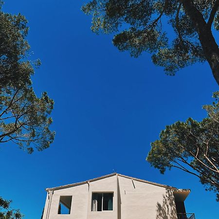 Can Romy Appartement T2F A 20M De La Plage De Cala Montgo L' Escala Eksteriør billede