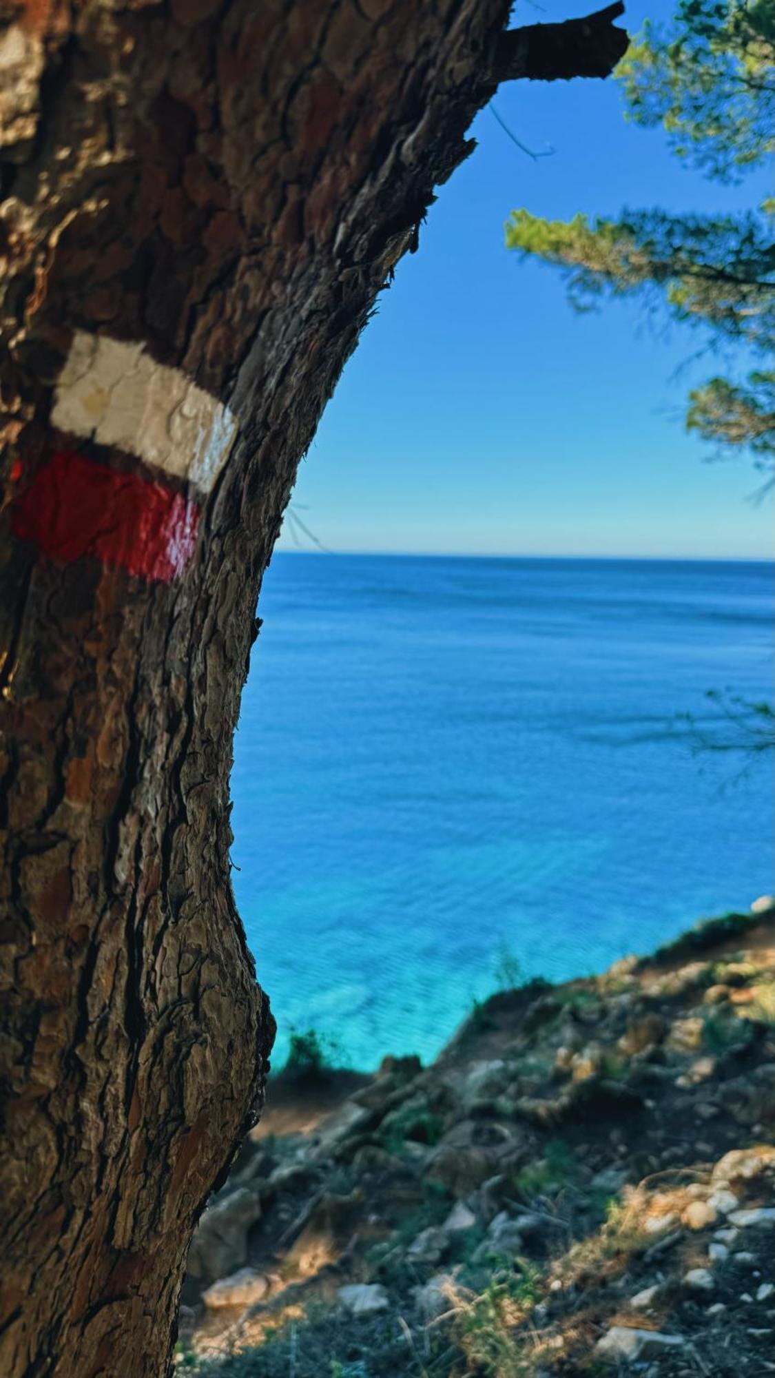 Can Romy Appartement T2F A 20M De La Plage De Cala Montgo L' Escala Eksteriør billede