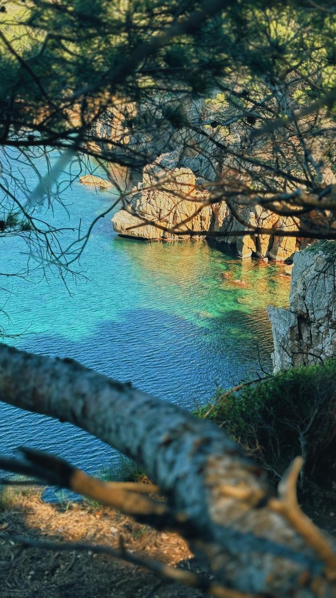 Can Romy Appartement T2F A 20M De La Plage De Cala Montgo L' Escala Eksteriør billede